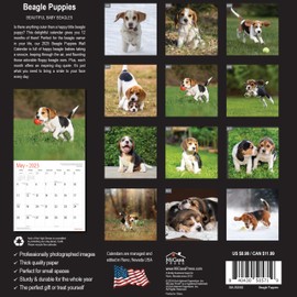 MICASA Beagle Puppies Mini 2025 Wall Calendar 12 Month | 7" x 14" Open | Thick & Sturdy Paper | Giftable | Calendar 2025