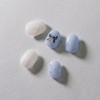 [Design Nail Tips] Blue Ribbon - Short Ballet / [디자인