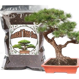 Bonsai Soil Mix 1qt Ready to Use,  Bonsai Tree Soil Fits for Small Bonsai Pot, Suitable for Bonsai Seedling, Repotting, or Bonsai Starter Kit - Colour: 1qt