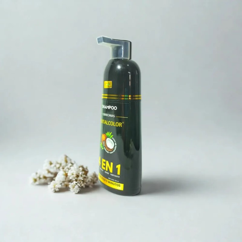 Shampoo Cubre Canas Negro Original Revitalcolor