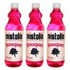 Mistolin General All Purpose Cleaning Solution Bouquet Scent 28 fl