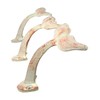 Wowser Rustic White Cast Iron Whale Tail Wall Hooks, 4