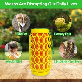 2 Pack Wasp Trap Outdoor Hanging, Wasps Traps for Patio with Honey Tray, 6 PCS Refillable Sticky Papers, Outdoor Sticky Yellow Jacket Bee Trap Insects Catcher, Fly Bug Insect Deterrent Killer