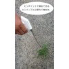 za・supure- Long Nozzle Pint Green