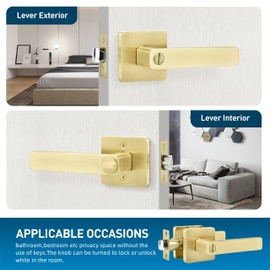 Leydebong 3 Pack Door Locks Door Knobs Interior in Light Satin Brass Finish, Bedroom Bathroom Privacy Door Handles Interior Gold Lever Keyless, Heavy Duty & Sleek