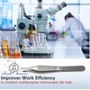 Stainless Steel Adson Forceps Lab Tweezers 9x9 Teeth with Wide