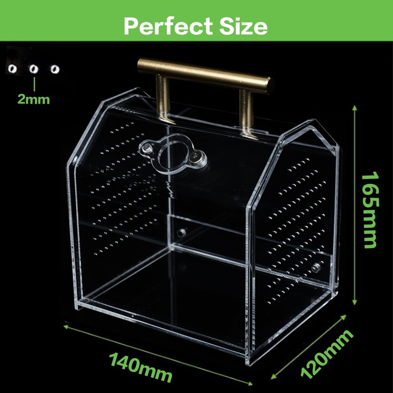 Jumping Spider Enclosure, Insect Terrarium, Praying Mantis Habitat, Reptile Enclosure,Spider
