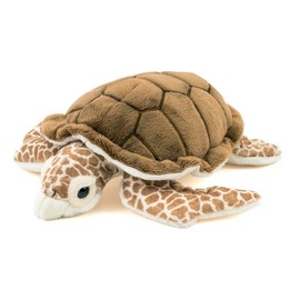 Carolata Cowrie Turtle Plush Toy, Animal, Size S, 8.7 x 2.8 x 7.9 inches (22 x 7 x 20 cm), Realistic Toy, For Kids, Sea Creatures, Animal Gift