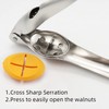 Chestnut Opener, TJ POP Stainless Steel Chestnut Cracker, Multifunctional Walnut