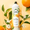 Herbal Essences Volumizing Hairspray, Strong Hold, Fresh Citrus Scent, Pack
