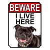 BEWARE I LIVE HERE METAL GATE SIGN STAFFORDSHIRE BULL TERRIER