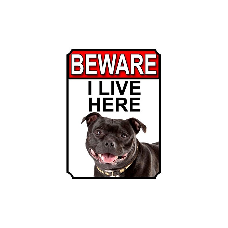 BEWARE I LIVE HERE METAL GATE SIGN STAFFORDSHIRE BULL TERRIER