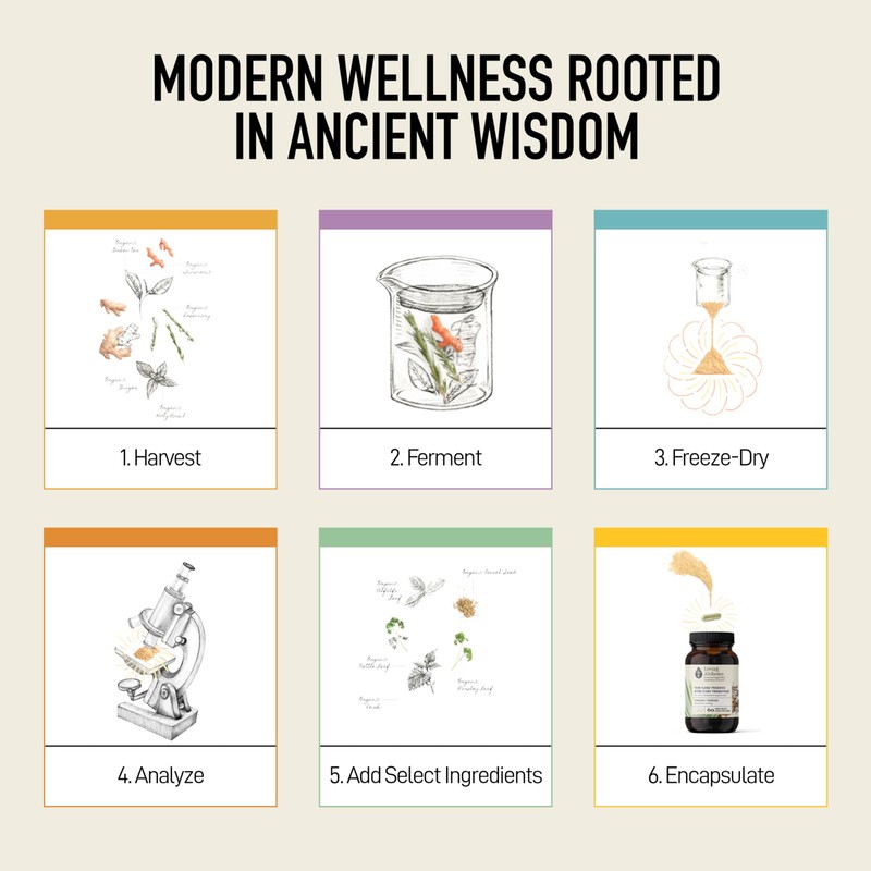 Living Alchemy Gut Health Supplement - Your Flora Probiotic Terrain