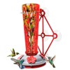 Window Hummingbird Feeder with 5 Strong Suction Cup 16 Ounces