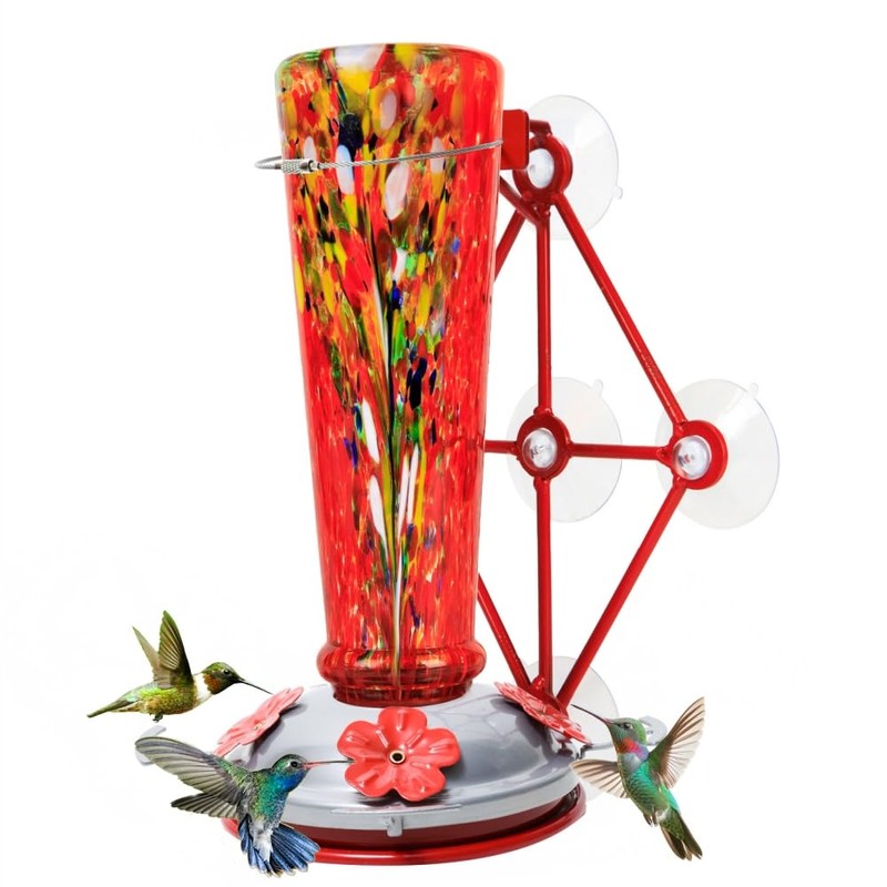Window Hummingbird Feeder with 5 Strong Suction Cup 16 Ounces
