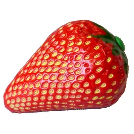 PLAY WOOD Fruit Shaker