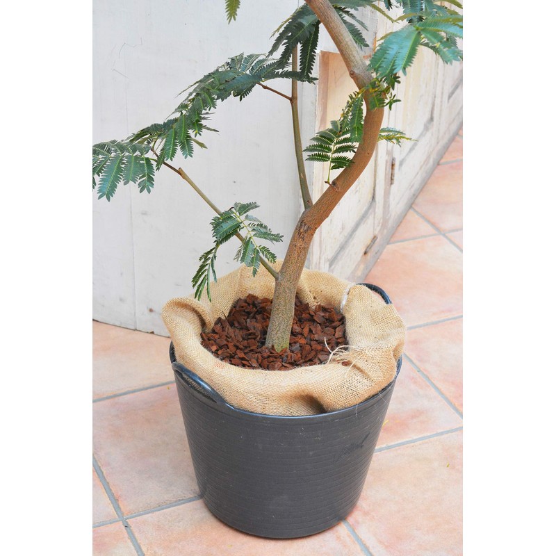 Hanagokoro Mulching Container Guard S 3L