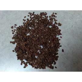 Fresh Milkweed seeds,  1,000 seeds, fresh 2024, from wild grown Indiana Milkweeds