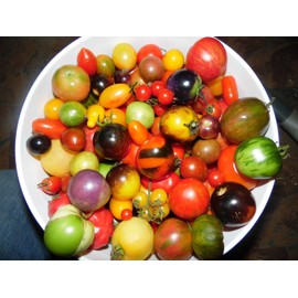 Pack of 100 Seeds From a Mix of 50 DIFFERENT KINDS of Cherry Tomatoes!