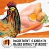 Purina Beyond Grain Free White Meat Chicken and Egg Recipe