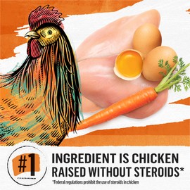 Purina Beyond Grain Free White Meat Chicken and Egg Recipe Natural Cat Food High Protein Cat Food Dry Formula - 5 lb. Bag