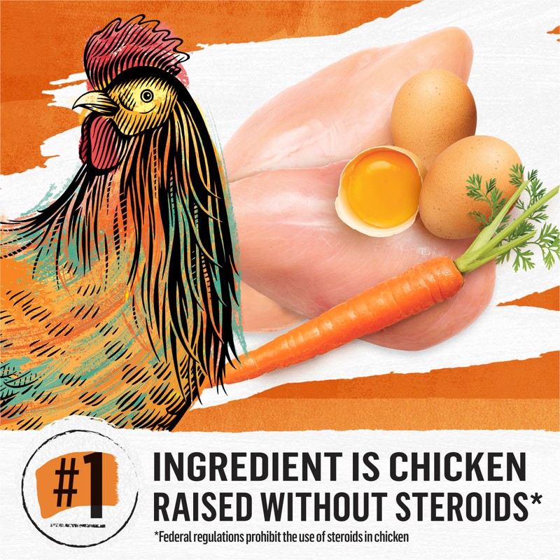 Purina Beyond Grain Free White Meat Chicken and Egg Recipe