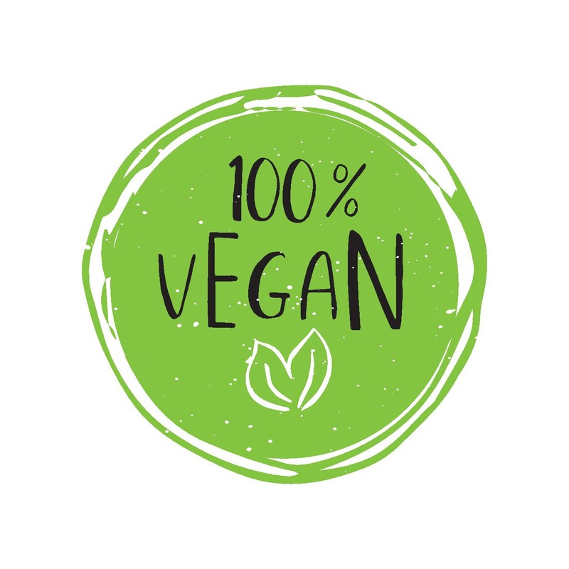 Wohltuer Organic Rice Protein 1000 g, Vegetable Protein Powder, 84.4%