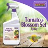 Bonide Tomato & Blossom Spray Set, 32 oz Ready-to-Use Pack