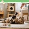 Acostop Catnip Cat Toys for Indoor Cats - 6 Styles
