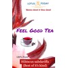 Hibiscus Tea Dried Hibiscus Sabdariffa Flowers in 21 Tea Bags