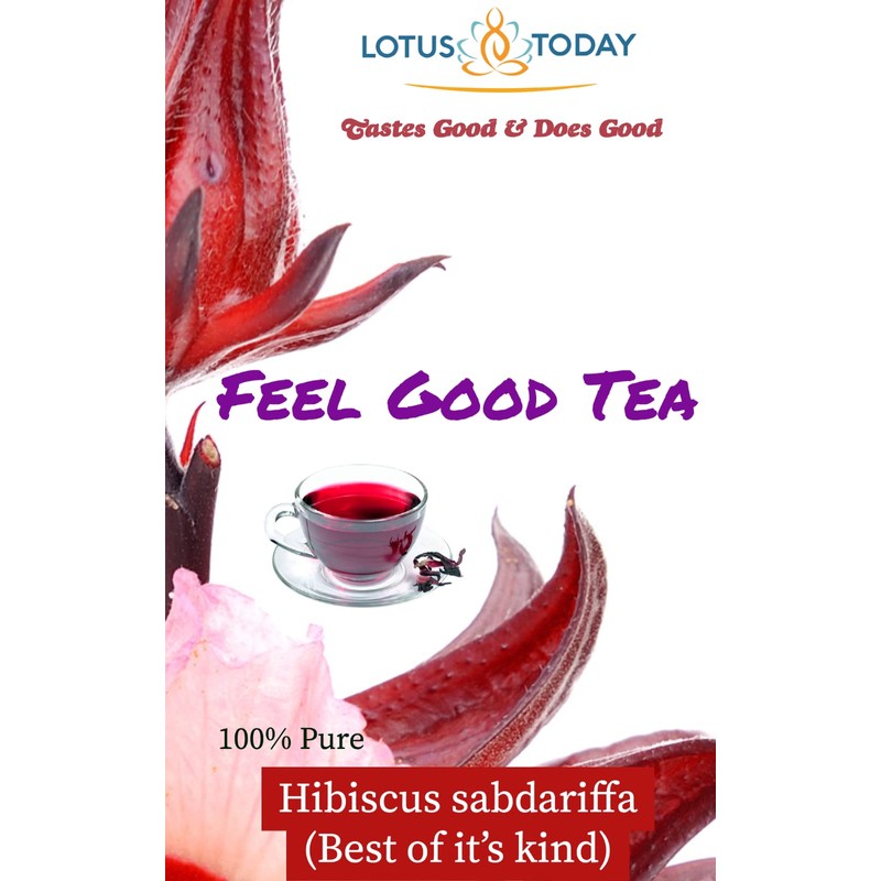 Hibiscus Tea Dried Hibiscus Sabdariffa Flowers in 21 Tea Bags