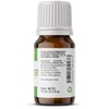 Aceite Esencial Basil Sweet (Albahaca) 15ml True Essentials, colección de