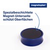 Ergo Large magnets, diameter 34 mm x 12.5 mm, pack