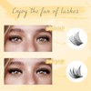 Individual Lashes 144 Cluster Lashes QUEWEL DIY Eyelash Extensions Kit,