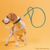 Dogline Soft and Padded Rolled Round Leather Leash for Dogs