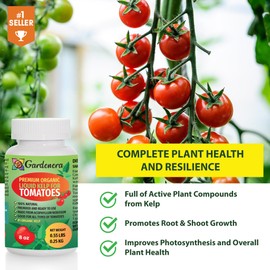 Gardenera Premium Kelp Concentrate for Tomato Plants - 24 oz - Amplify Tomato Size and Taste for a Satisfying Harvest