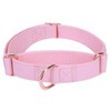 Soft Leather Martingale Dog Collar - Adjustable Rose Gold Limited