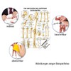 Sport-Tec The Bones of the Lower Extremity Mini Poster Anatomy