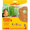 sera 32273 Catappa Leaves sea almond tree leaves for natural
