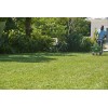 Scotts Southern Turf Builder Lawn Food 42.18 lbs. Covers 15,000