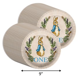 Peter Rabbit Boy's First Birthday - 32 Piece Disposable Party Supplies - Decorations for Bunny 1st Birthday Round Party Plates - Large 9" Paper Plates In Bulk