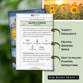 Sow Right Seeds Sow Right Seeds - Mammoth Sunflower Seeds to Plant - Grow Giant Sunflowers in Your Garden - Non-GMO Heirloom Seeds for Planting an Outdoor Garden - Bright Yellow Blooms - Attract Bees and Birds (1)