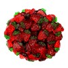 Smarty Stop Gummy Collections (Strawberries, 5 Pound (Pack of 1))