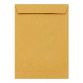 Premier Stationery C5 Envelopes, Heavy Duty, Peel & Seal Manilla Document Storage, Stationary Supplies, Ideal for Brochures, Invoices & Catalogues, Office Stationary, 110gsm (Pack of 25)