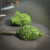 Fjuka Squeez-Ready Green Groundbait 500g | Ready-prepped | Carp, F1s,