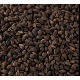 한방리아 흑메밀 중국산 1kg Hanbangria Black Buckwheat from China 1kg
