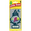 LITTLE TREES U2S-22049: Rainshine