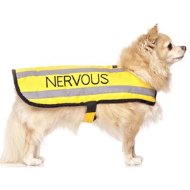 NERVOUS (Give Me Space) Yellow Colour Coded S M L Reflective Waterproof Fleece Lined Warm Dog Coats PREVENTS Accidents By Warning Others Of Your Dog In Advance (S)