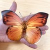 16 Large Butterfly Window Sticker Decorations - Beautiful Double Sided