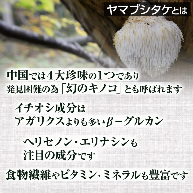 Yamabushitake Powder, 1.8 oz (50 g), Natural Pure Ingredients (Additive-Free),
